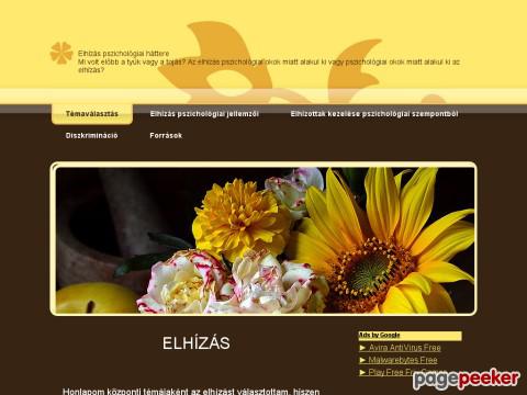 Elhizaspszichologia - témaválasztás