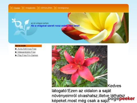 Enviragoskertem - főoldal