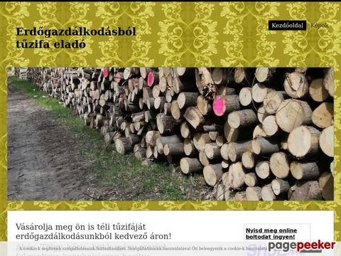 Erdogazdalkosaboltuzifa