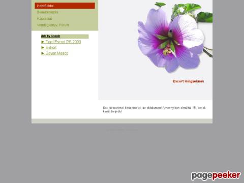 Escort - Escort és Masszázs Hölgyeknek Pécsett, Budapes ...
