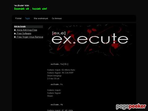 Execute