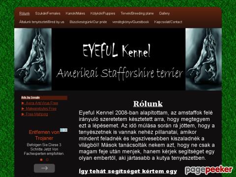 Eyeful
