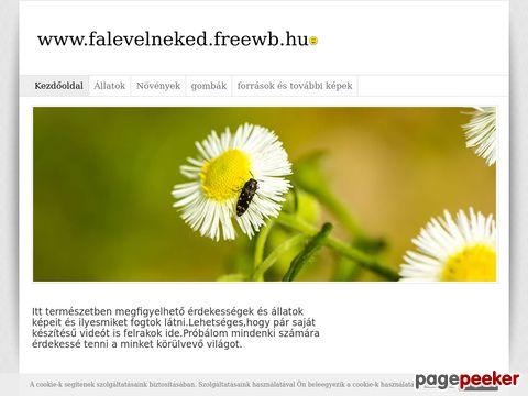 Falevelneked