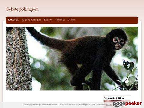 Feketepokmajom