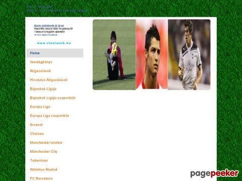 Fifa11manager