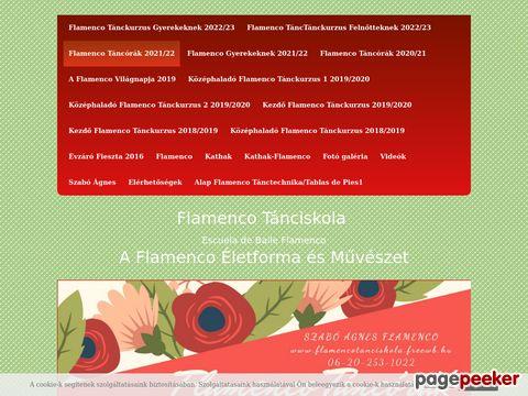 Flamencotanciskola