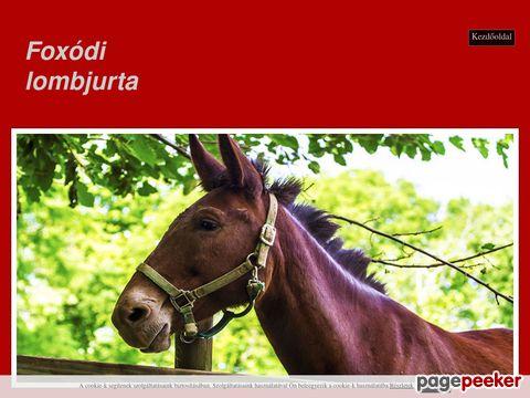 Foxodilombjurta