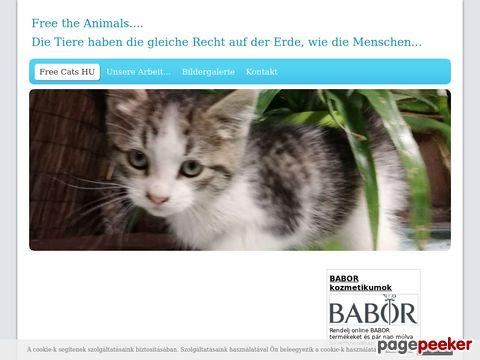 Free-cats - Kezdőoldal