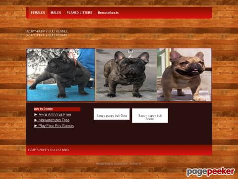 Frszupypuppybuli