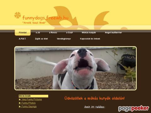 Funnydogs - Bevezető