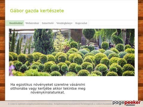 Gaborgazda-kerteszete
