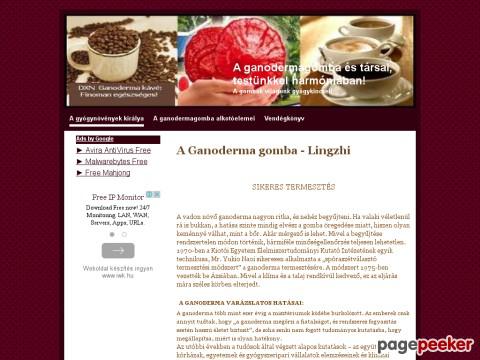 Ganoderma - A ganodermagomba a gyógynövények királya