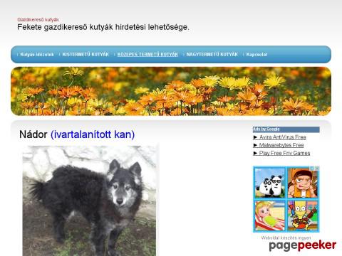 Gazdikeresokutyak