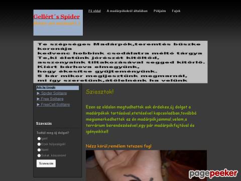 Gellertspider - gellertspider