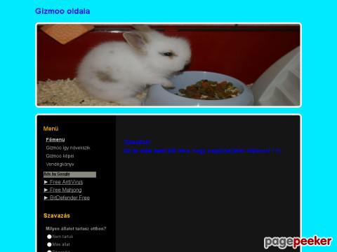 Gizmoomuszka4ever