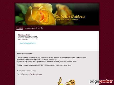 Gobelin - Tűvel festettem minden képem
