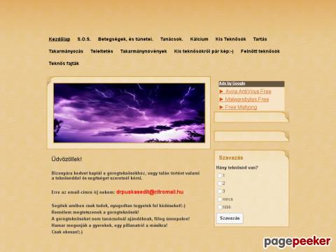 Gorogteknosinfo