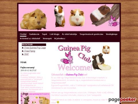 Guineapigclub - Guinea Pig Club