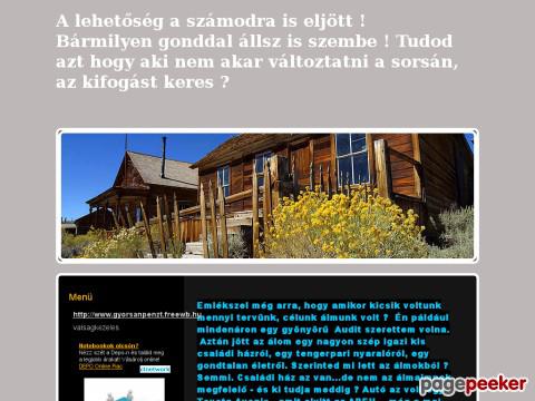 Gyorsanpenzt - Internetes munka, Cashlines, otthoni munka
