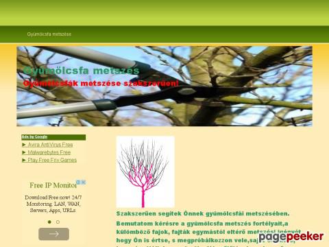 Gyumolcsfametszes - Gyümölcsfa metszés,gyümölcsfák metszése,gy ...