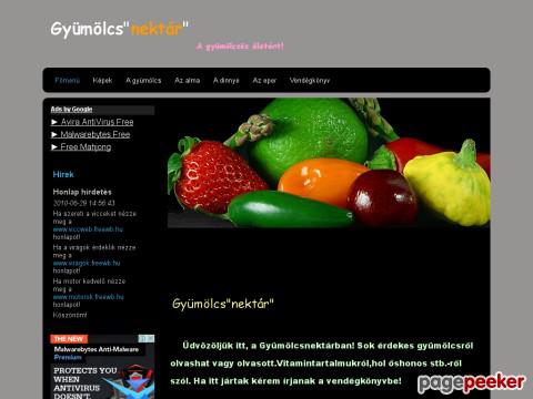 Gyumolcsnektar1