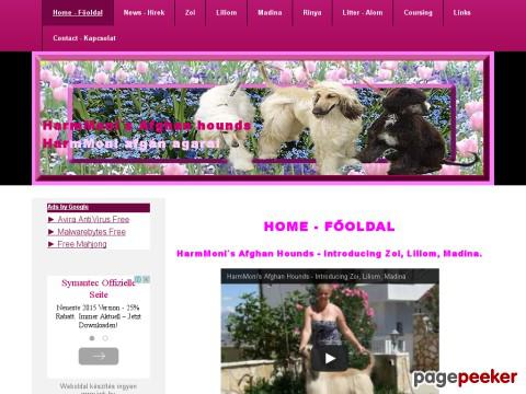 Harmmoni8afghanhound - HarmMonis afghan hound, HarmMoni8afghanhound, Afgh ...
