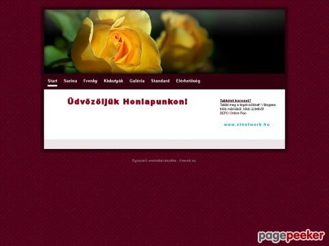 Havanesebichon