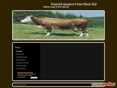 Hazitej - google