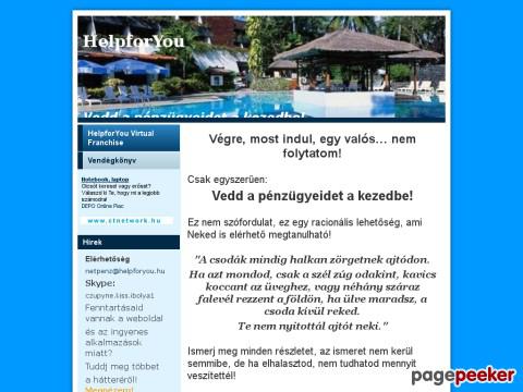 Helpfornetlady - Virtual Franchise