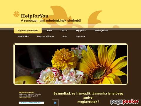 Helpfornojsz - Ingyenes piackutatás, egy speciális programért!