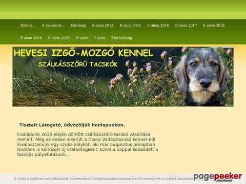 Hevesiizgomozgo