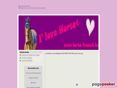 Horse8