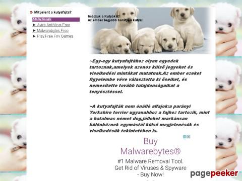 Imadjukakutyakat - Hogyan lettek az afgán agarak,az airedale terrier ...