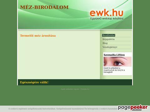Infohazi