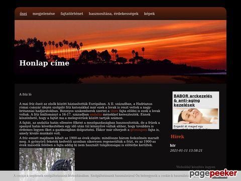 Infoweb - Kezdőoldal