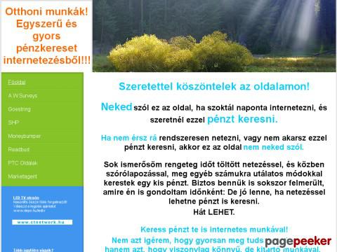 Internetesmunka