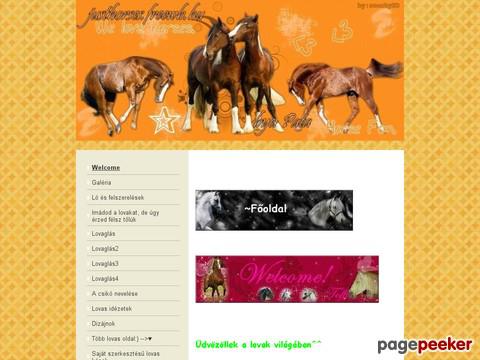 Justhorses - Hello!