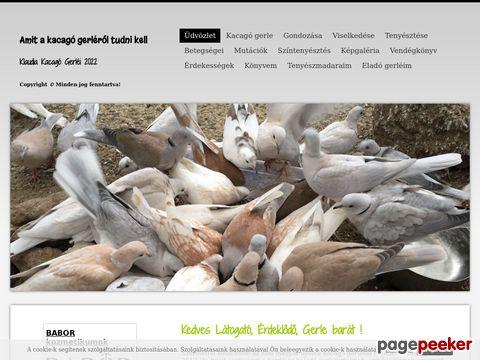 Kacagogerle - Amit a kacagó gerléről tudni kell ©