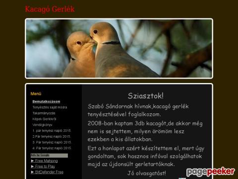 Kacagogerlektenyesztese