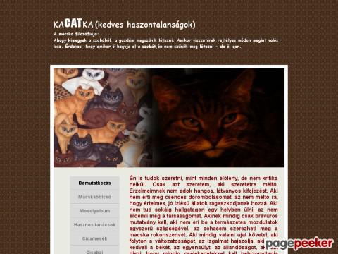 Kacatka - Bemutatkozás, állatbarát, macska, cica