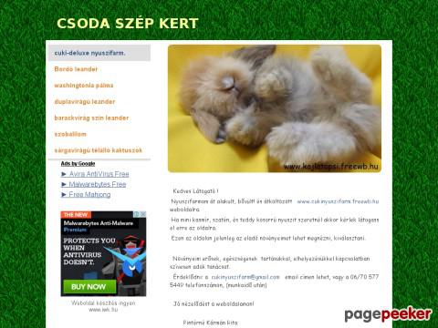Kajlatapsi2