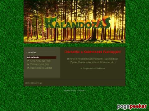 Kalandozas - Google