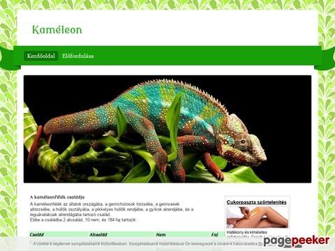 Kameleon