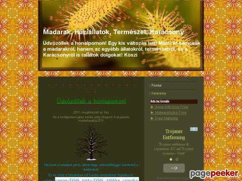 Karacsonykedvelok - Karacsony