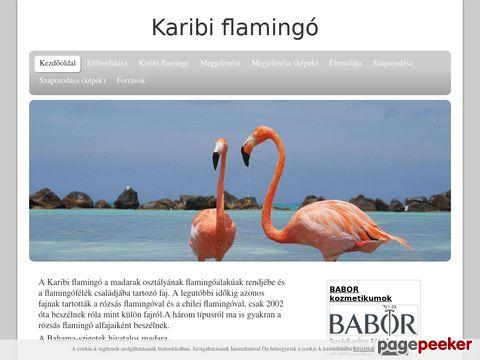 Karibiflamingo
