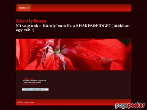 Karolyteam