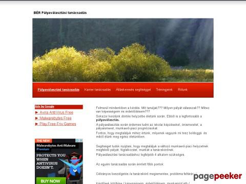 Karriertanacsadas - pályaválasztás