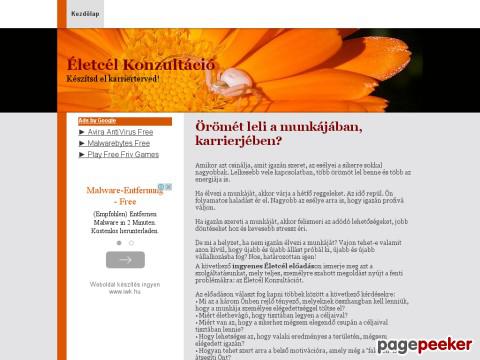 Karrierterv - Karrierterv készítés