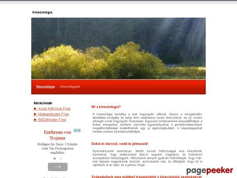 Kineziologia