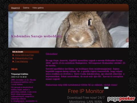 Kisbundas - törpenyúl, nyúl, nyuszi, lógófülű, kosorrú ...